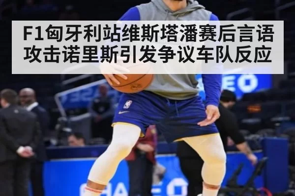 F1匈牙利站维斯塔潘赛后言语攻击诺里斯引发争议车队反应